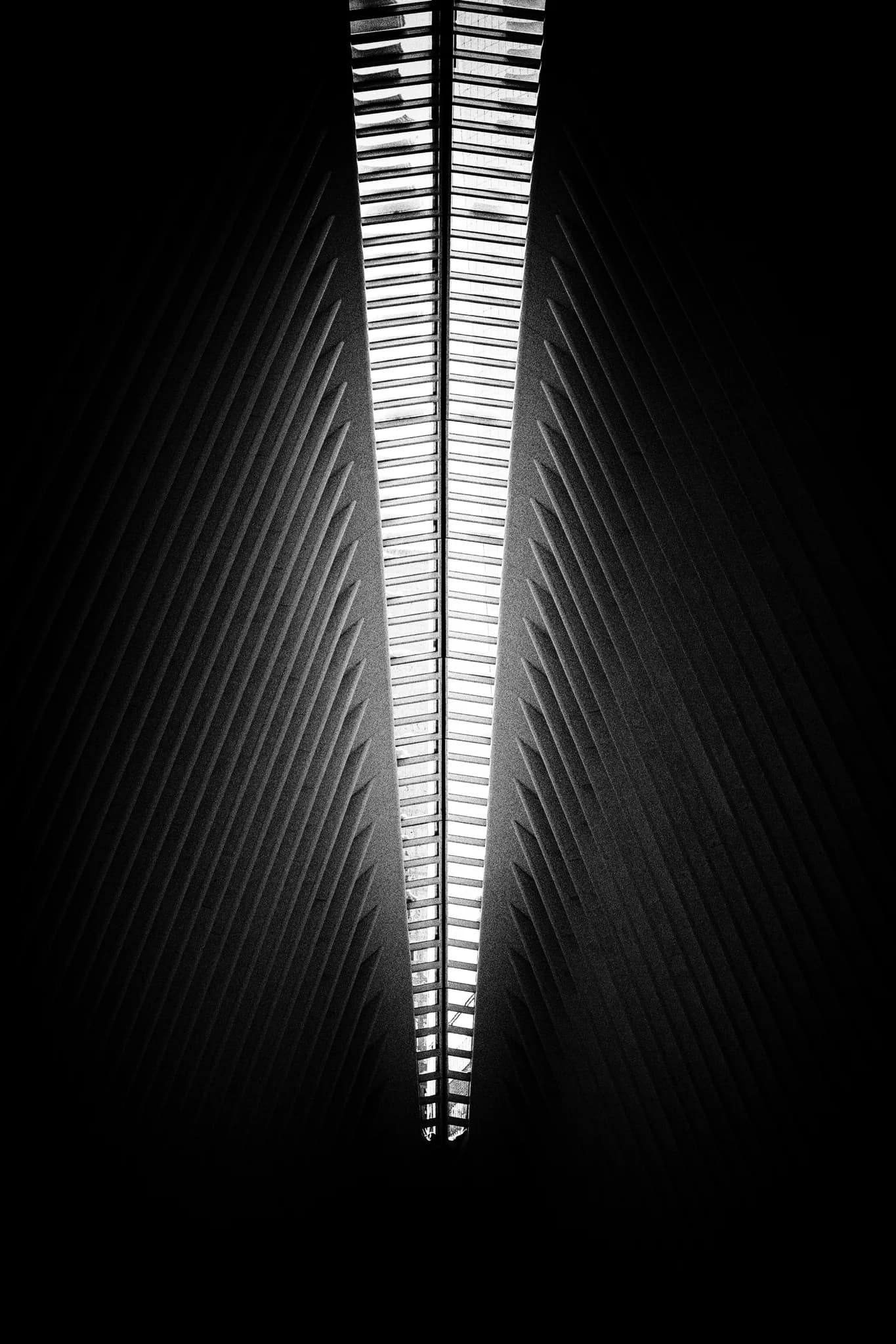 Oculus